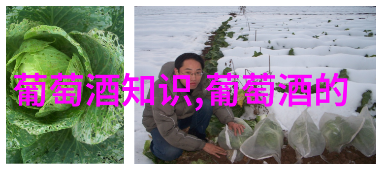 96年飞天茅台酒鉴别