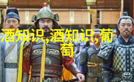 黑啤酒为什么是黑色的与一般啤酒有什么不同呢