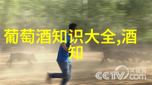 韩国烧酒是什么酒烧酒与白酒有什么不同