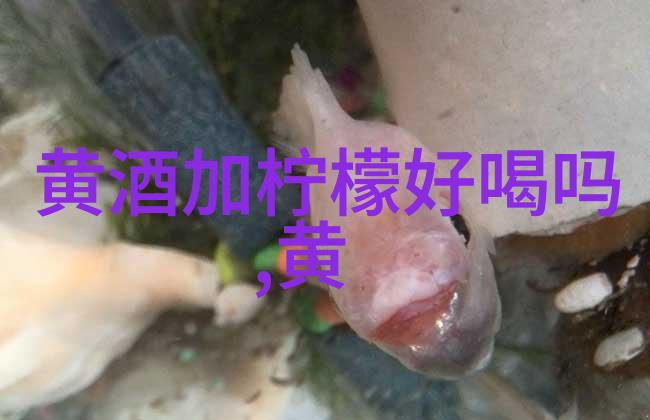 中国金酒的的发展历程