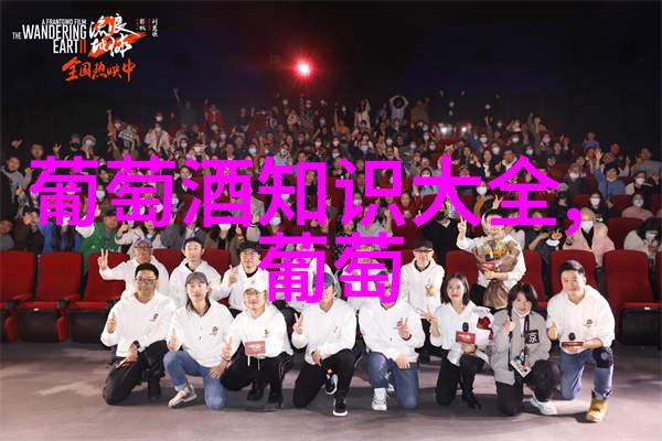 进口啤酒与国产啤酒在口感和品质上有何不同有哪些经典的进口啤酒推荐